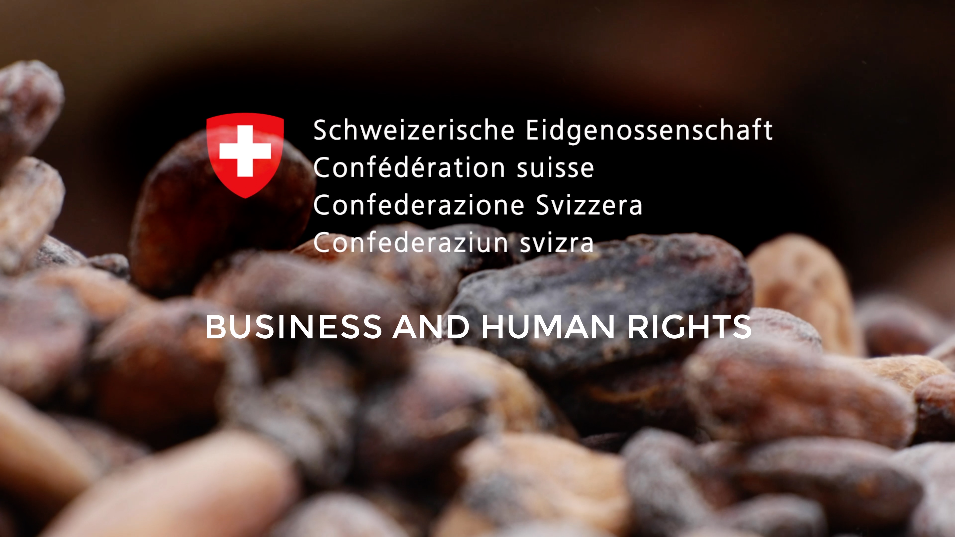 Video BusinessandHumanrights